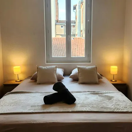 La Rose Toulousaine - Fully Equipped 2-bedroom 3person - Center *
