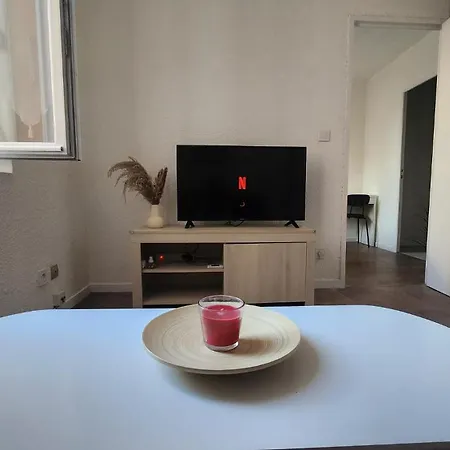 La Rose Toulousaine - Fully Equipped 2-bedroom 3person - Center Apartment *