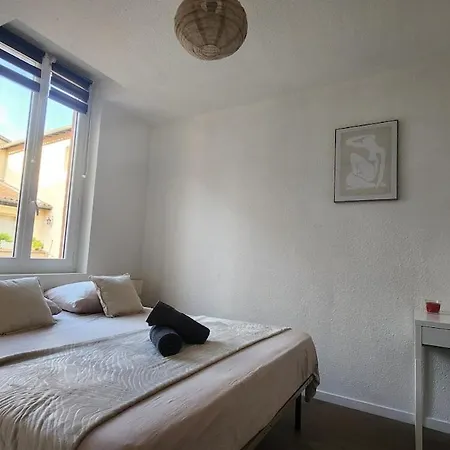 Apartment La Rose Toulousaine - Fully Equipped 2-bedroom 3person - Center