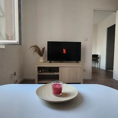 La Rose Toulousaine - Fully Equipped 2-bedroom 3person - Center Lejlighed Toulouse